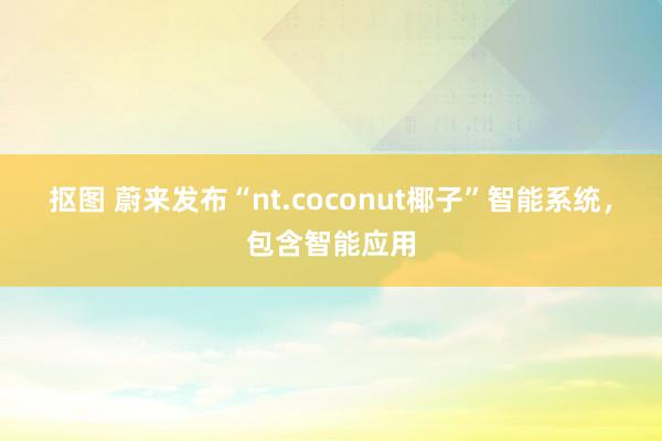 抠图 蔚来发布“nt.coconut椰子”智能系统，包含智能应用